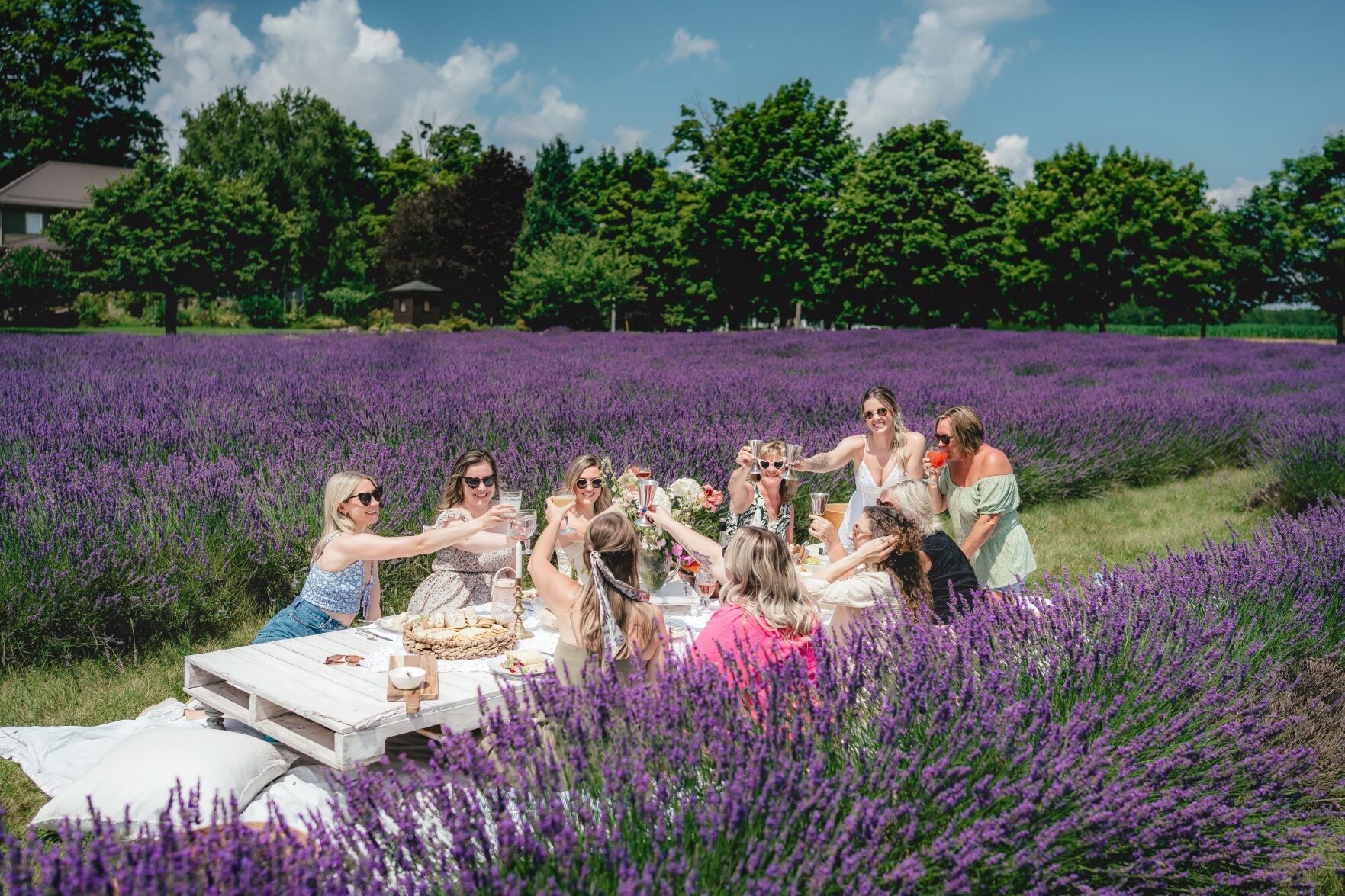 Bonnieheath Estate Winery - Dudek Photography for Ontario’s Sout